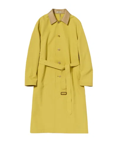 Auralee Belted Contrast-collar Coat In Yellow