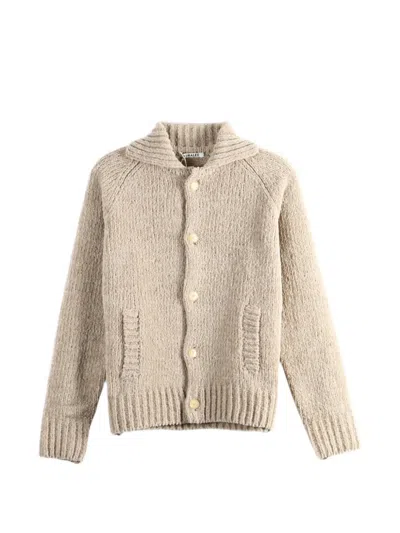 Auralee Button-up Hooded Cardigan In Neutral