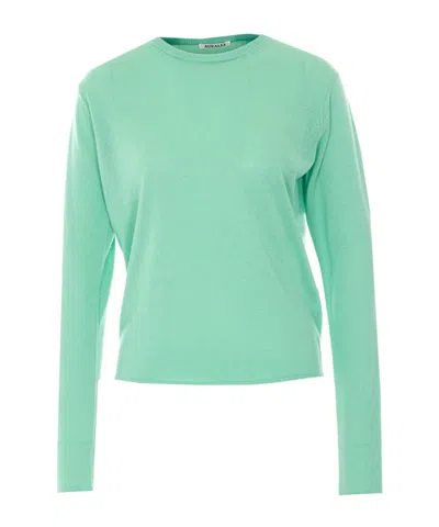 Auralee Cashmere Blend Crew Neck Knit Sweater In Green