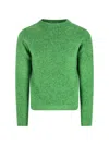 Auralee Crew-neck Long-sleeved Sweater In Green