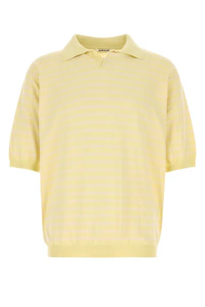 Auralee Embroidered Knit Polo Shirt With Striped Detail In Stripped