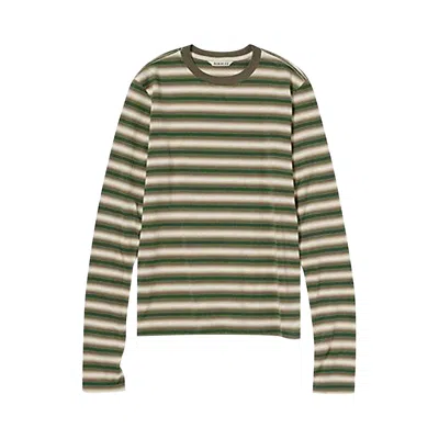 Pre-owned Auralee Gradient Stripe Jersey Long Sleeve T-shirt 'faded Brown Stripe' | Women's Size 1