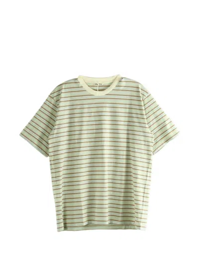 Auralee Gradient Stripe T-shirt In Green