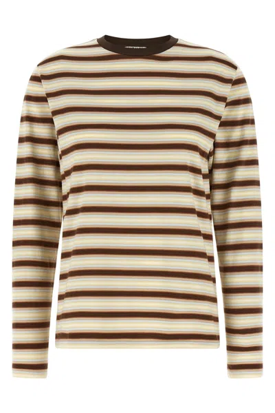 Auralee Gradient Stripes T-shirt In Multi