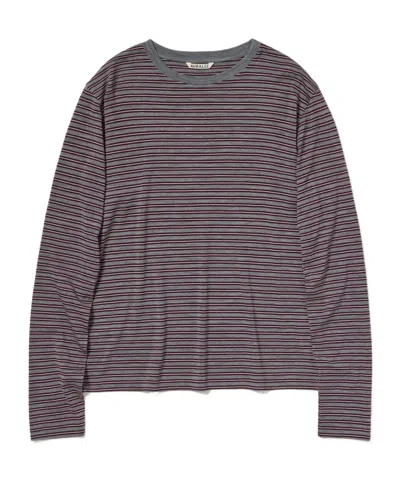 Auralee Long-sleeved Striped T-shirt In Gray