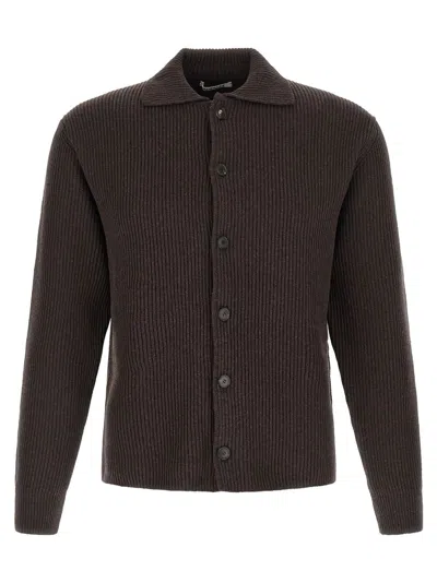 Auralee Polo Cardigan In Brown