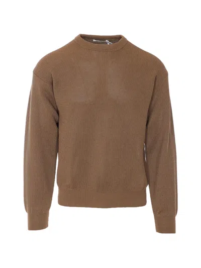 Auralee Ribbed-knit Cotton Sweater In Brown