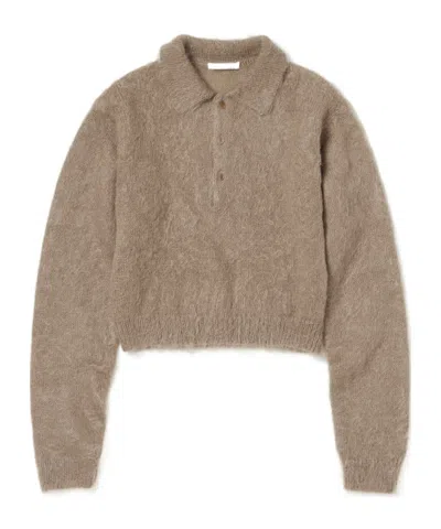 Auralee Short Knitted Polo Shirt In Brown