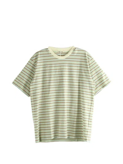 Auralee Striped Cotton T Shirt In Green