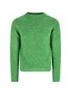 Auralee Crew-neck Long-sleeved Sweater In Green