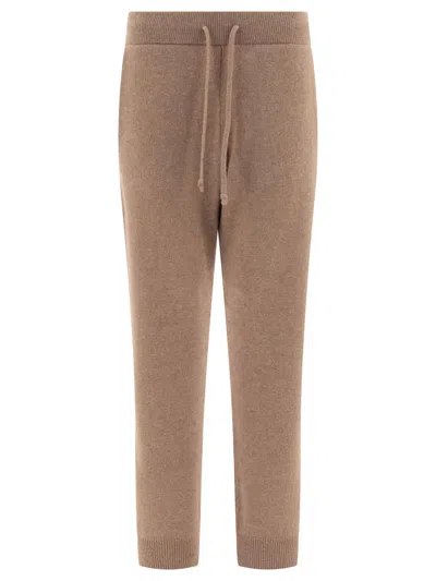 Auralee Trousers In Brown