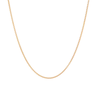 Aurate New York Wheat Chain Necklace In Yellow