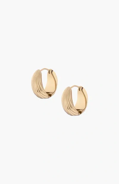 Aurate Shell Hinged Hoop Earrings In Gold Plated Stainless Steel