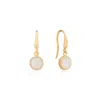 Auree Jewellery Women's Gold / White Barcelona June Birthstone Hook Earrings Moonstone In Multi