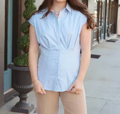 Aureum On The Coast Pleated Blouse In Blue