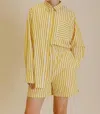 Aureum Poplin Striped Shirt In Yellow In Yellow