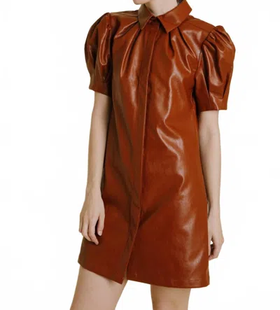 Aureum Rianna Dress In Cognac In Brown