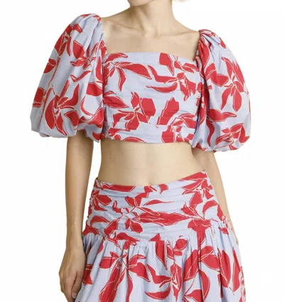 Aureum Shirred Cropped Top In Blue/red In Multi