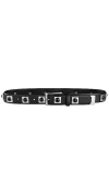 Aureum Studded Belt In Black