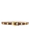 Aureum Studded Belt In Chocolate And Gold