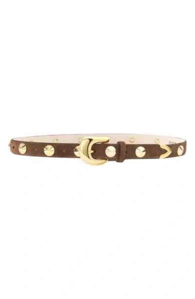Aureum Studded Belt In Chocolate And Gold