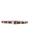 Aureum Studded Belt In Chocolate And Silver
