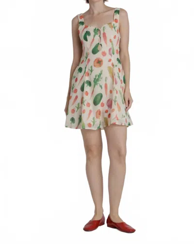 Aureum Summer Garden Mini Dress In Cream Multi In Neutral