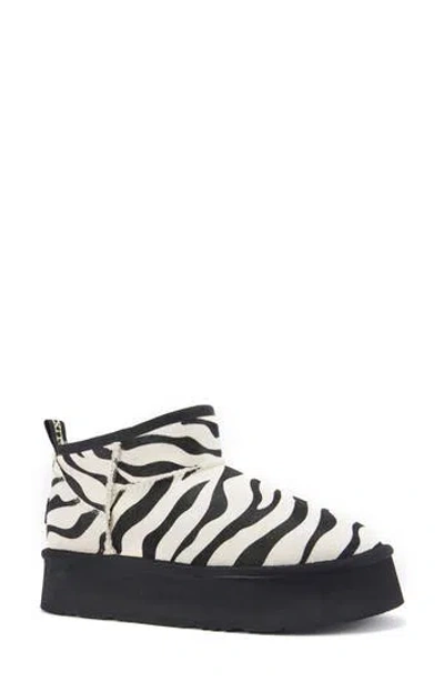 Australia Luxe Collective Cosy Genuine Shearling Zebra Ultra Platform Bootie In Multi