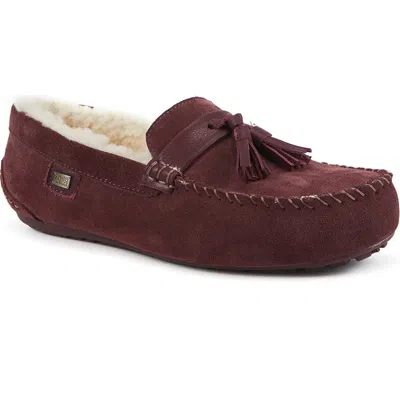 Australia Luxe Collective Hamilton Genuine Shearling Lined Tassel Loafer In Burgundy