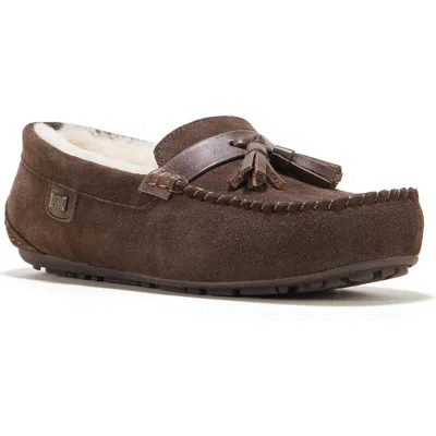 Australia Luxe Collective Hamilton Genuine Shearling Lined Tassel Loafer In Brown