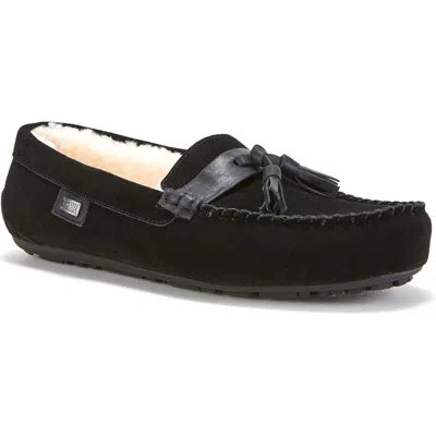 Australia Luxe Collective Hamilton Genuine Shearling Lined Tassel Loafer In Black