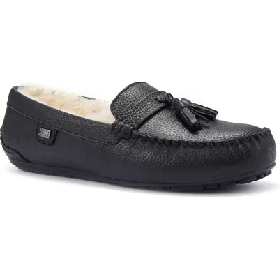 Australia Luxe Collective Hamilton Genuine Shearling Lined Tassel Loafer In Black