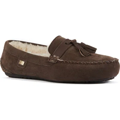 Australia Luxe Collective Hamilton Genuine Shearling Lined Tassel Loafer In Brown