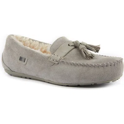 Australia Luxe Collective Hamilton Genuine Shearling Lined Tassel Loafer In Gray
