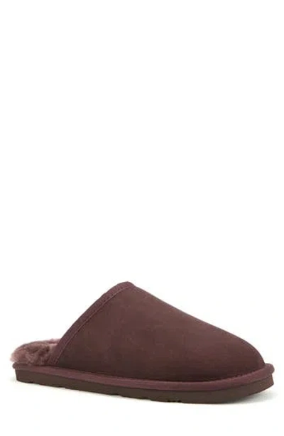 Australia Luxe Collective Mool Genuine Shearling Lined Slipper In Brown