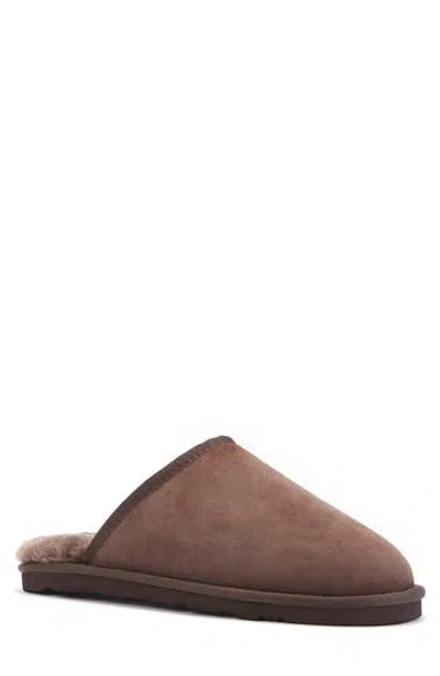 Australia Luxe Collective Mool Genuine Shearling Lined Slipper In Brown