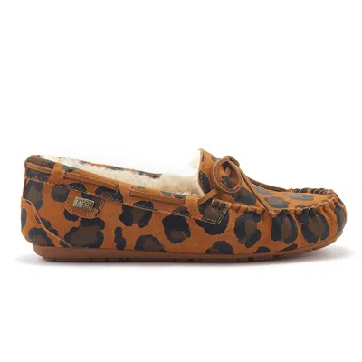 Australia Luxe Collective Prost In Multi