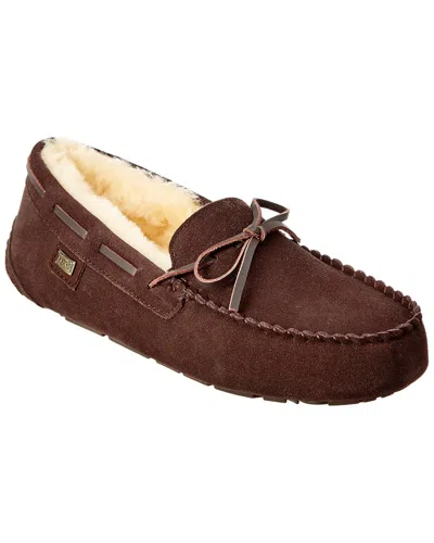Australia Luxe Collective Prost Suede Slipper In Brown