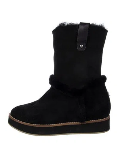 Pre-owned Australia Luxe Collective Suede Boots In Black
