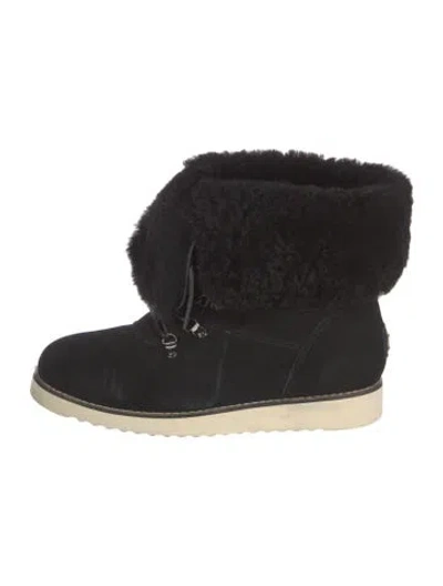 Pre-owned Australia Luxe Collective Suede Lace-up Boots In Black