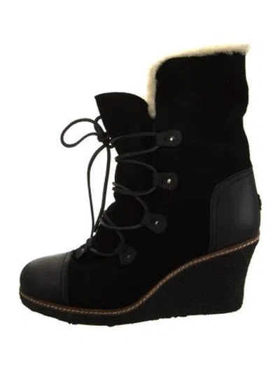 Pre-owned Australia Luxe Collective Suede Lace-up Boots In Black