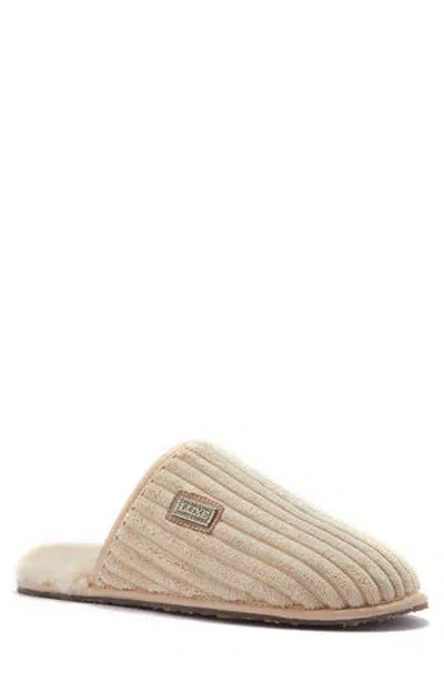 Australia Luxe Collective Twinface Sheepskin Genuine Shearling Lined Scuff Slipper In Neutral