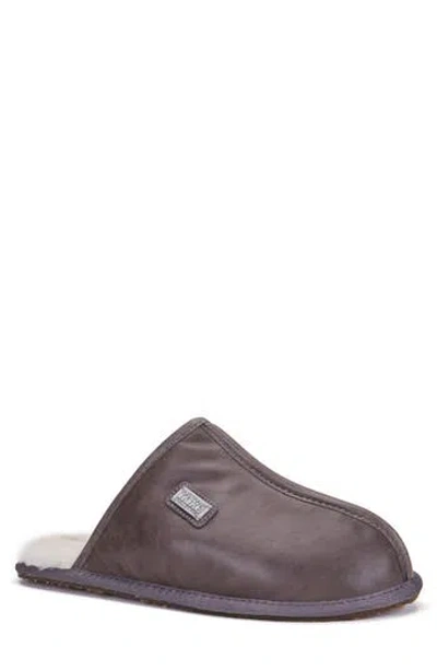 Australia Luxe Collective Twinface Sheepskin Genuine Shearling Lined Scuff Slipper In Brown