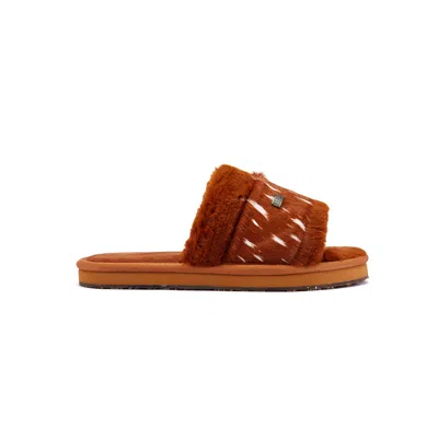 Australia Luxe Collective Women's Brown Muchas Lite Bambi