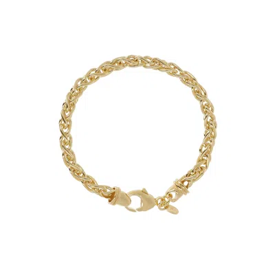 Autentica - Polished Spiga Chain Bracelet In Gold