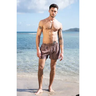 Auto-reply™ Print 4-inch Nylon Swim Trunks In Brown