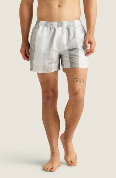 Auto-reply™ Sebastian Print 4-inch Nylon Swim Trunks In Gray