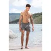 Auto-reply™ Sebastian Solid 4-inch Nylon Swim Trunks In Gray