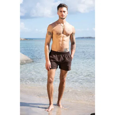 Auto-reply™ Sebastian Solid 4-inch Nylon Swim Trunks In Brown