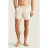 Auto-reply™ Sebastian Solid 4-inch Nylon Swim Trunks In Cloud